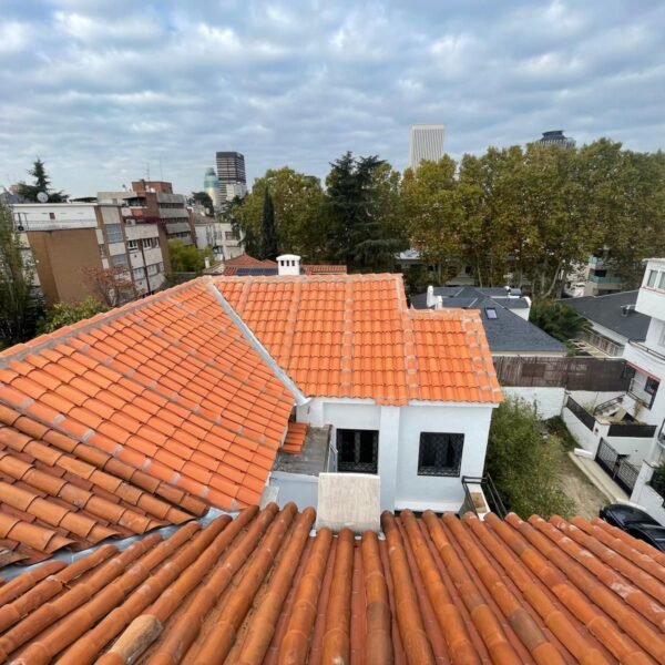 WhatsApp Image 2026-01-04 at 15.56.46 (1)