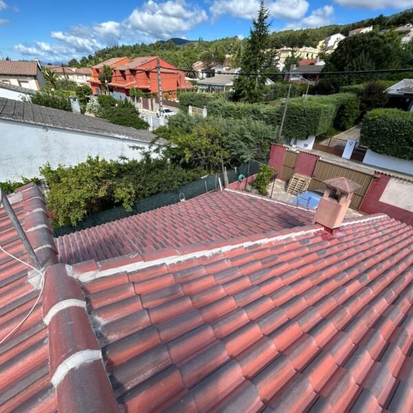 WhatsApp Image 2026-01-04 at 15.56.49