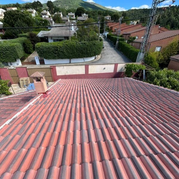 WhatsApp Image 2026-01-04 at 15.56.51 (1)