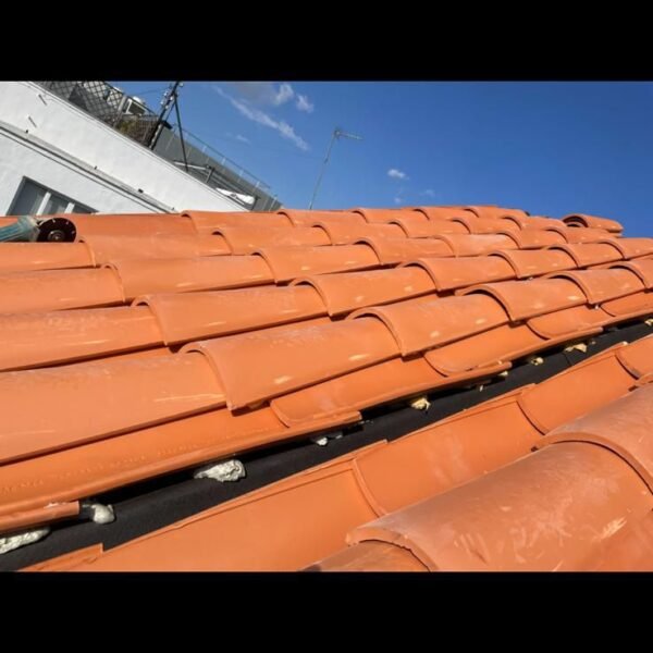 WhatsApp Image 2026-01-04 at 15.56.52 (2)