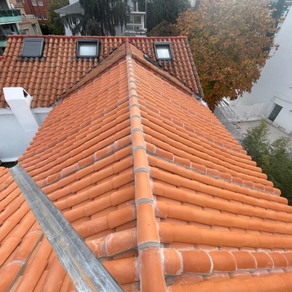 WhatsApp Image 2026-01-04 at 15.56.55 (1)