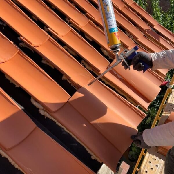 WhatsApp Image 2026-01-04 at 15.56.55