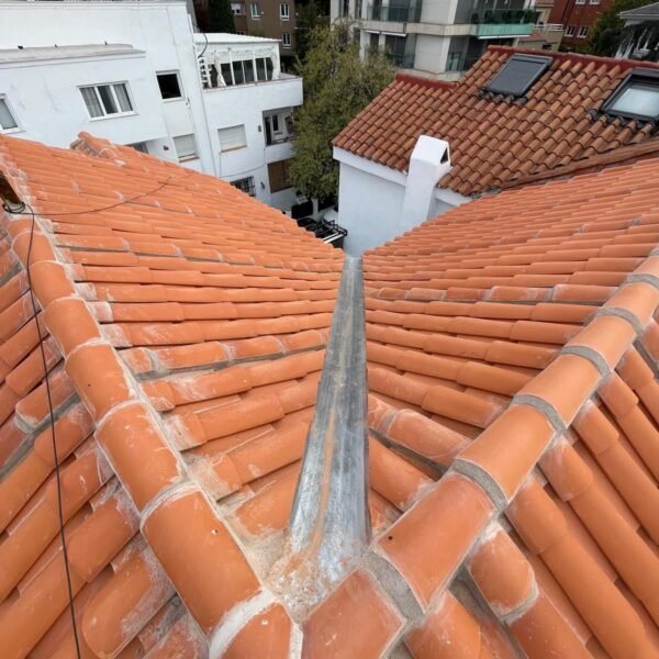 WhatsApp Image 2026-01-04 at 15.56.57 (2)