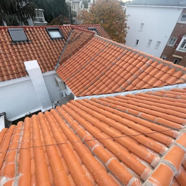 WhatsApp Image 2026-01-04 at 15.56.57 (3)