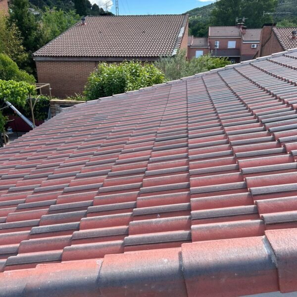 WhatsApp Image 2026-01-04 at 15.56.58 (2)