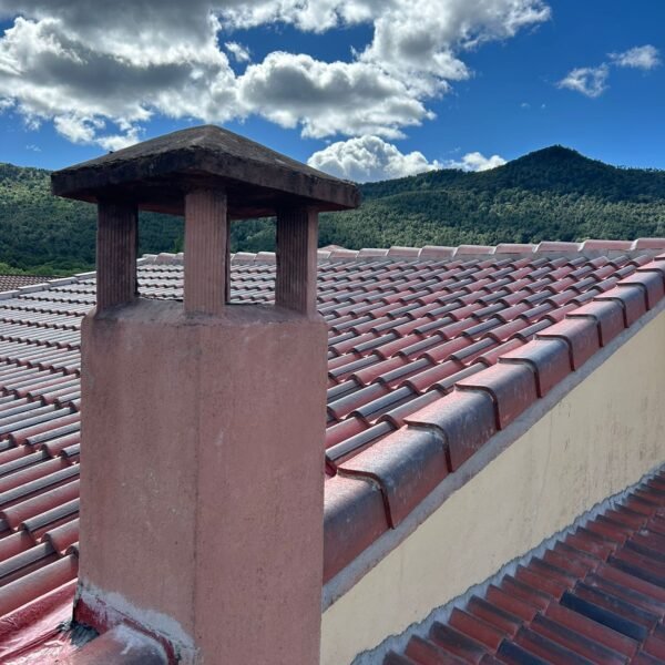 WhatsApp Image 2026-01-04 at 15.56.58