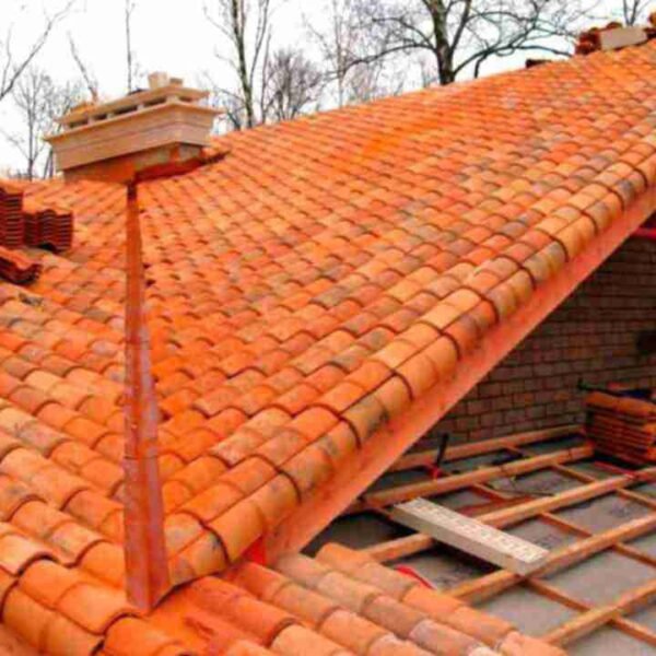 WhatsApp Image 2026-01-04 at 15.58.26 (3)